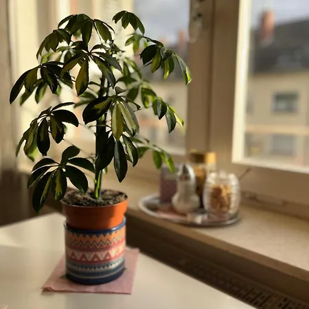 Am Neckar Apartamento Heidelberg