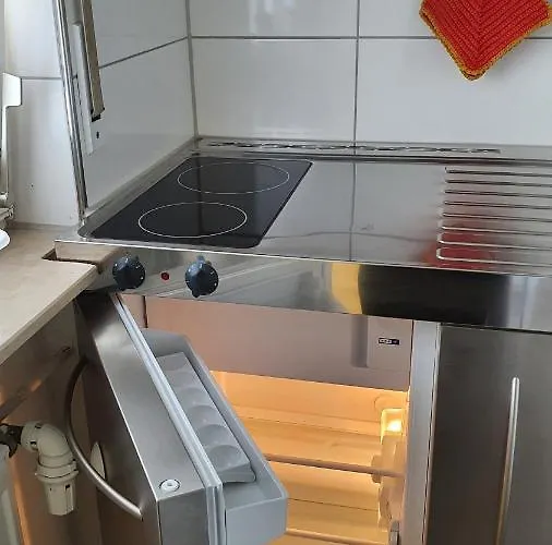 Am Neckar * Heidelberg