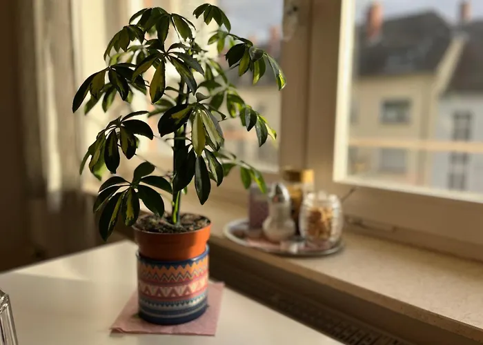 Am Neckar Apartamento Heidelberg