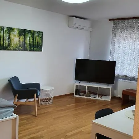 Apartment Am Neckar *