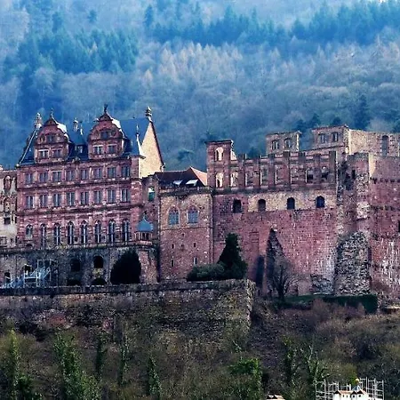 Am Neckar Appartamento Heidelberg
